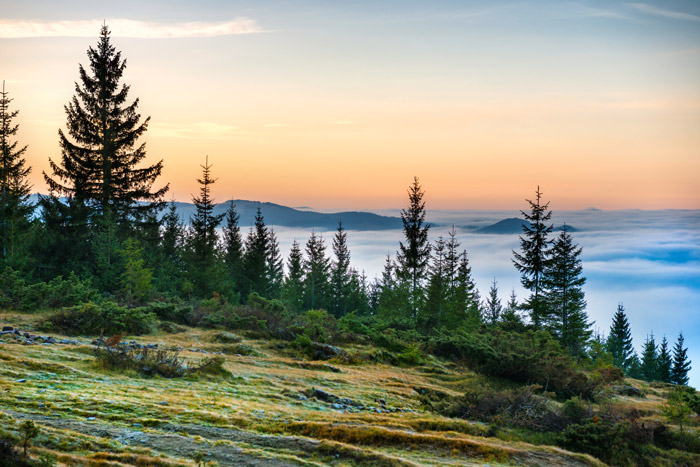 landscape of the northwest landscape of the northwest